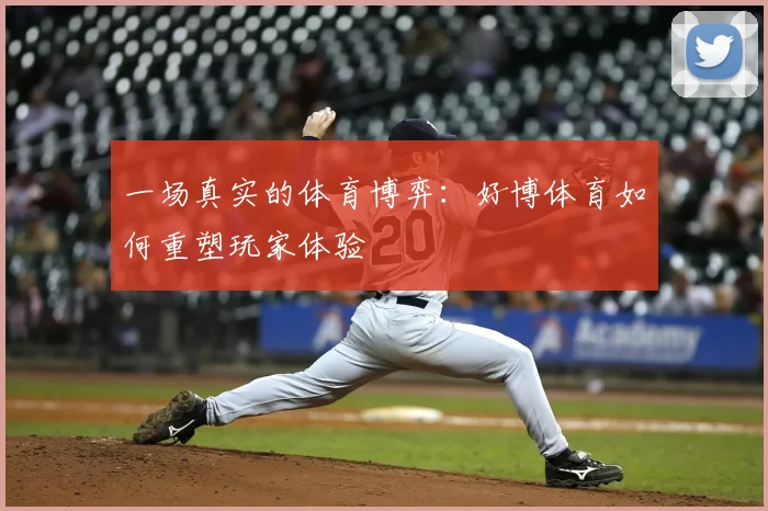 一场真实的体育博弈：好博体育如何重塑玩家体验